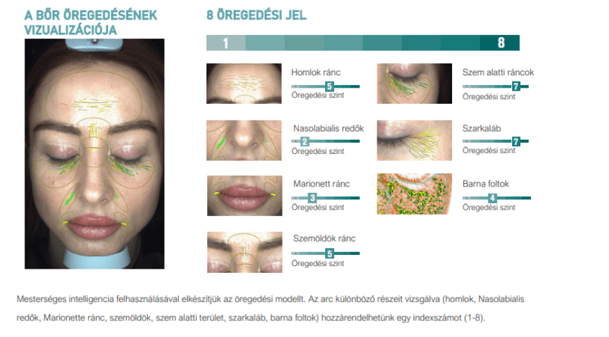 Öregedési folyamatot bemutató grafikon és arcfotó.